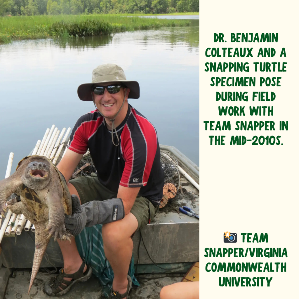 A man in a black and red t shirt sits at the front of a small boat on a murky pond of water. He wears sunglasses and a hat and holds a large snapping turtle in two gloved hands. Text beside the image says "Dr. Benjamin Colteaux and a snapping turtle specimen pose during field work with Team Snapper in the mid-2010s." with credit to Virginia Commonwealth University.